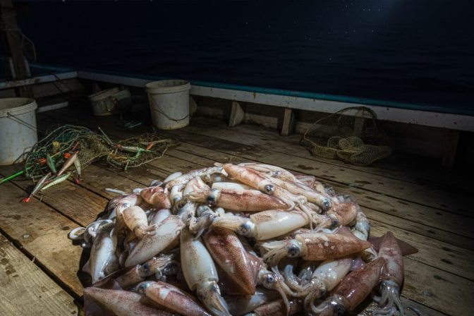 Musim Candat Sotong di Kuala Terengganu: Pengalaman Malam Paling Rare di Pantai Timur